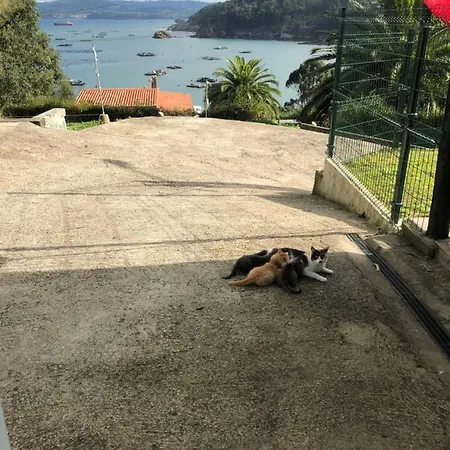 La Cabana Del Tio Tom *