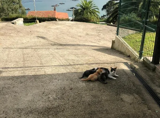 La Cabana Del Tio Tom *